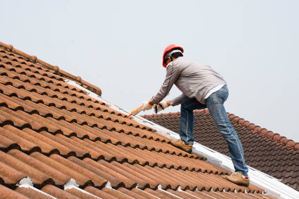  Madison, NC Roofing services Pros